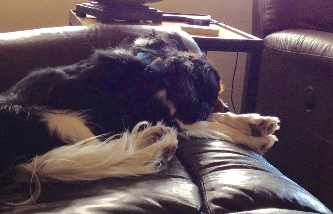 Owen, relaxing.