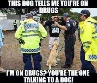 People like Jeff Sessions and DEA are saying that most people in America are on drugs but read what is said on this picture and make up your own mind.