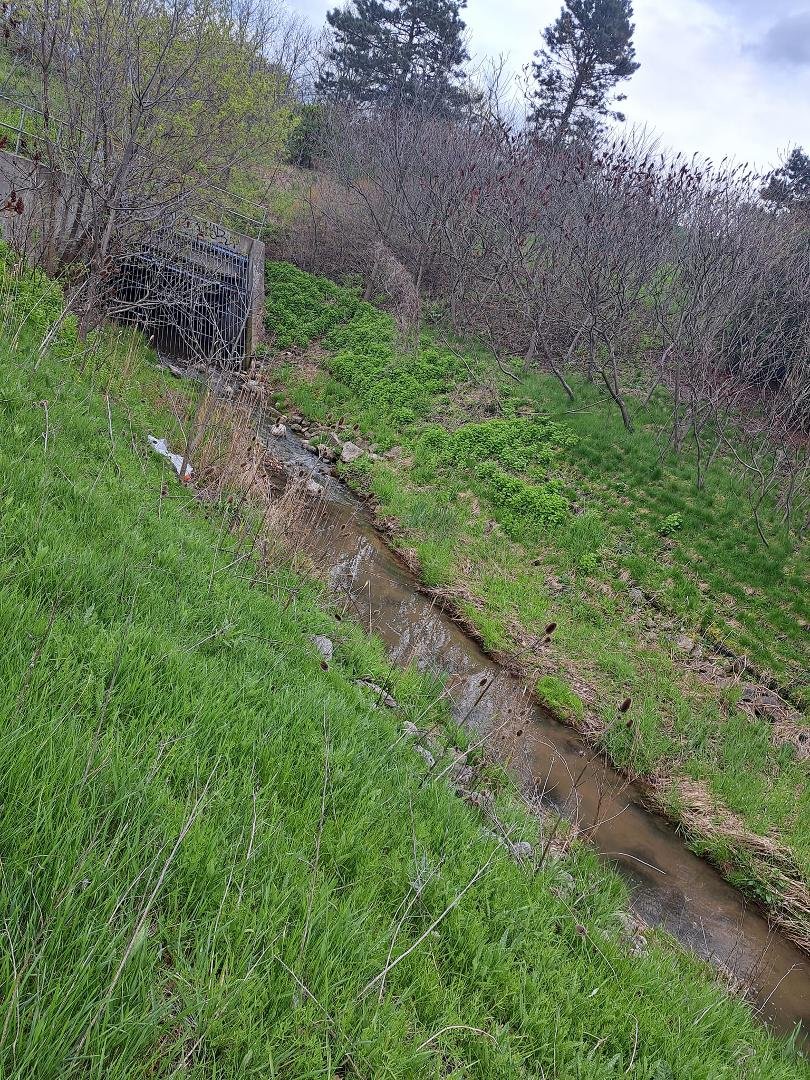 Chedoke creek south of Main st West north of the 403. It runs open here. It's part of the same creek that runs into the bay and where the city dumped billions of litres of waste.
