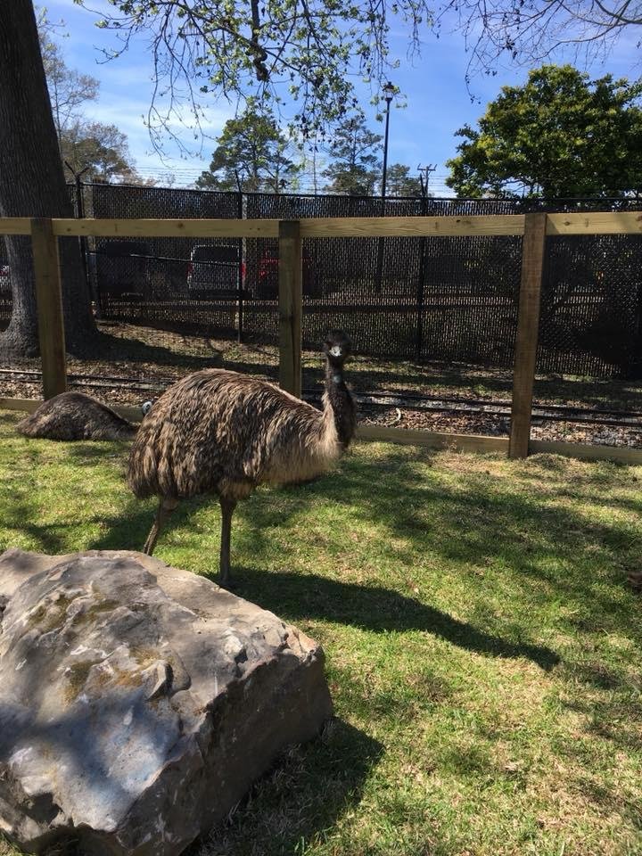 Fun at the Hattiesburg Zoo !!
