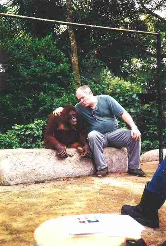 Who is the higher level primate? And she resisted my charms!!!. May 1999, Singapore Zoo. Baby is on next picture.