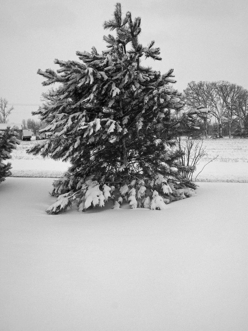 ay 1
Seven days, seven black and white photos of your life. No people.
