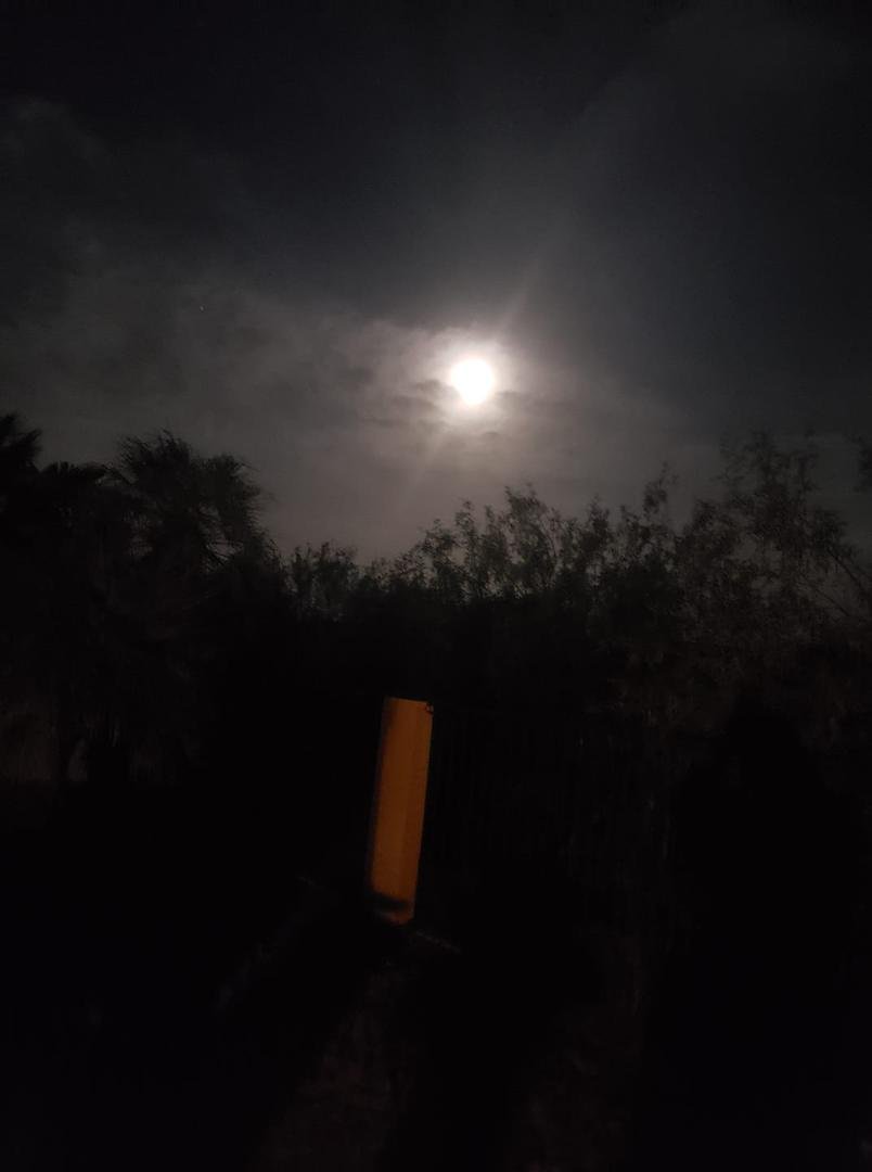 Pretty strawberry moon this morning. Makes me think of my grandma Pearl. She would have been 105 today. Happy heavenly birthday!