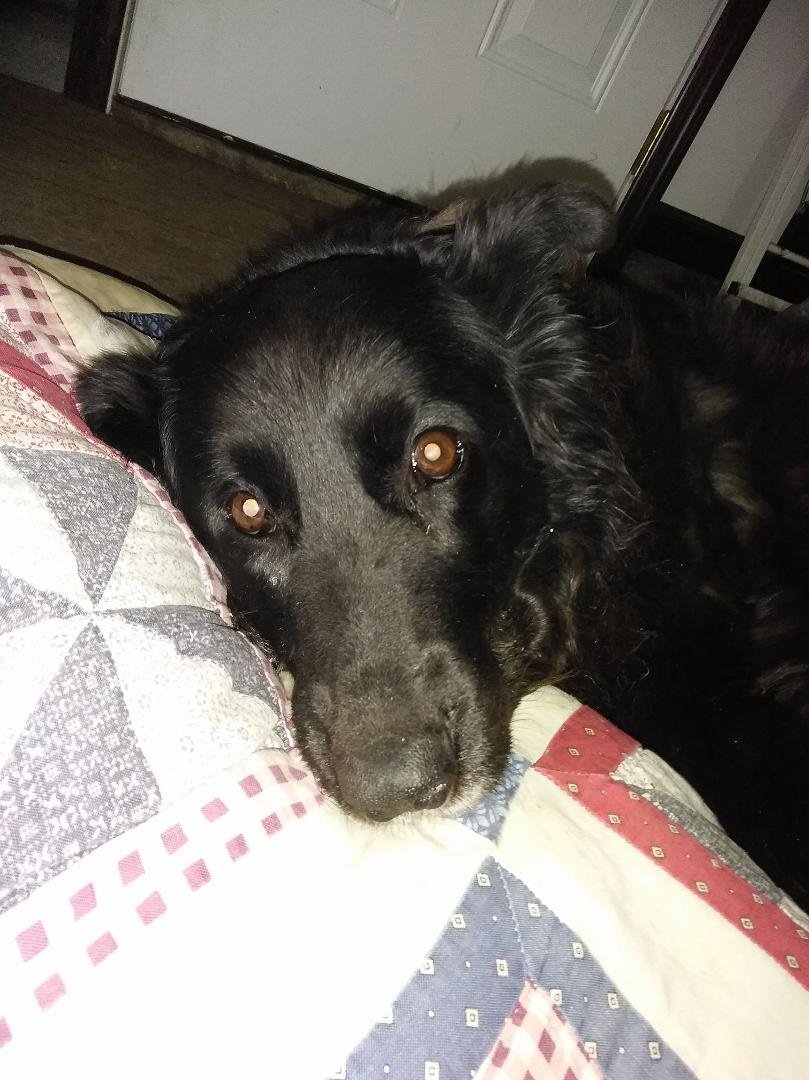 RIP Baby Girl, we miss you!