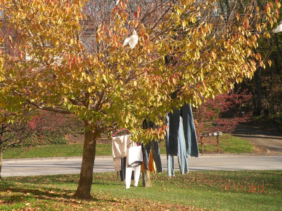 I had to post this picture. My redneck neighbor's wash line
