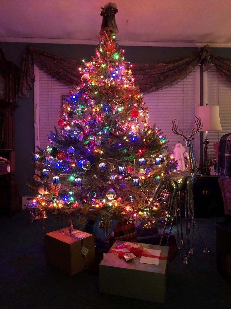 Merry Christmas and Happy Holidays!