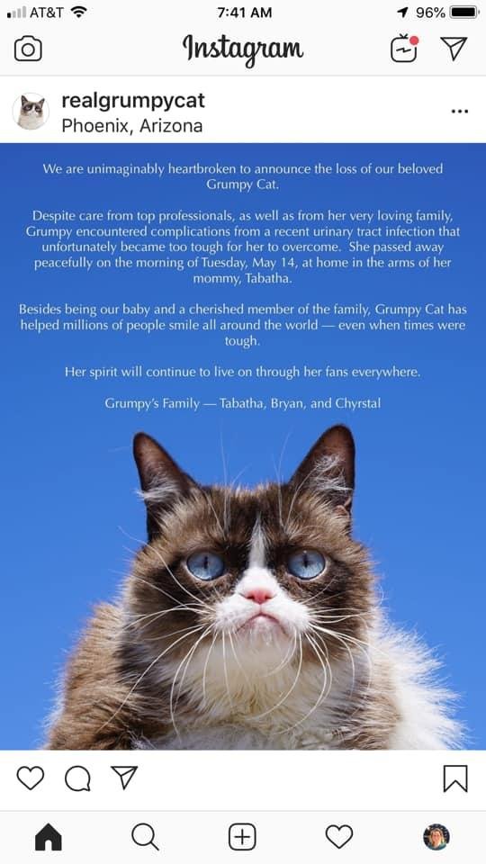 Amidst my funny post the other day with Grumpy Cat, we now learned that she has passed away. Our thoughts and prayers go out to Grumpys family for they’re loss.....😔🙏