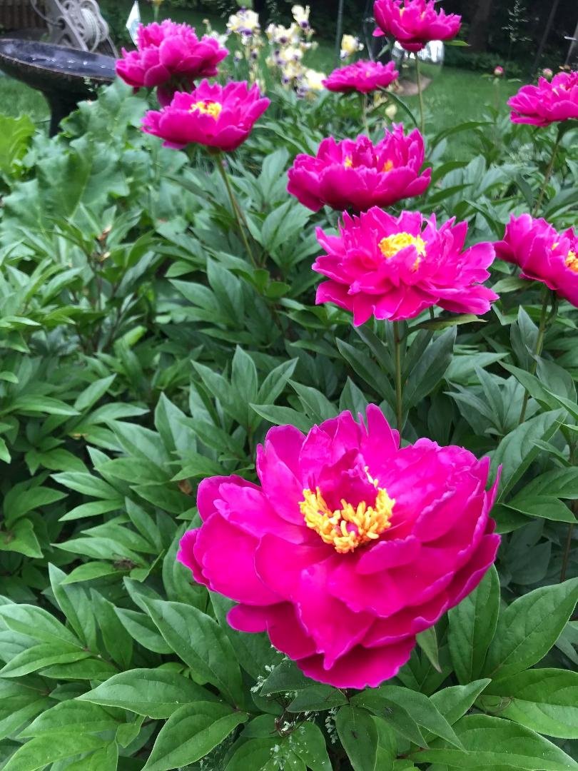 Edward Bailey's album, Timeline Photos