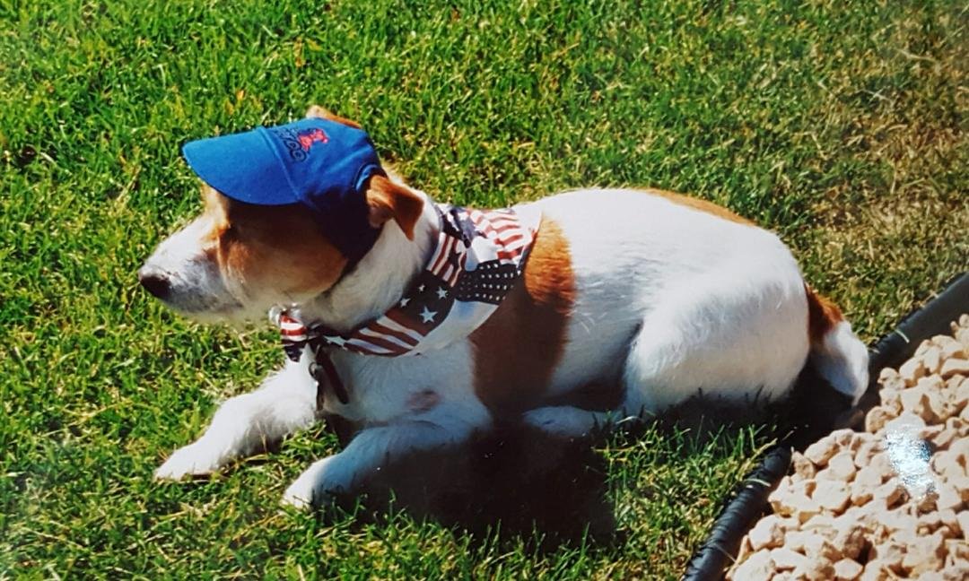 My sweet Jack, all dressed up for the 4th of July. 2002.
Such fun memories.