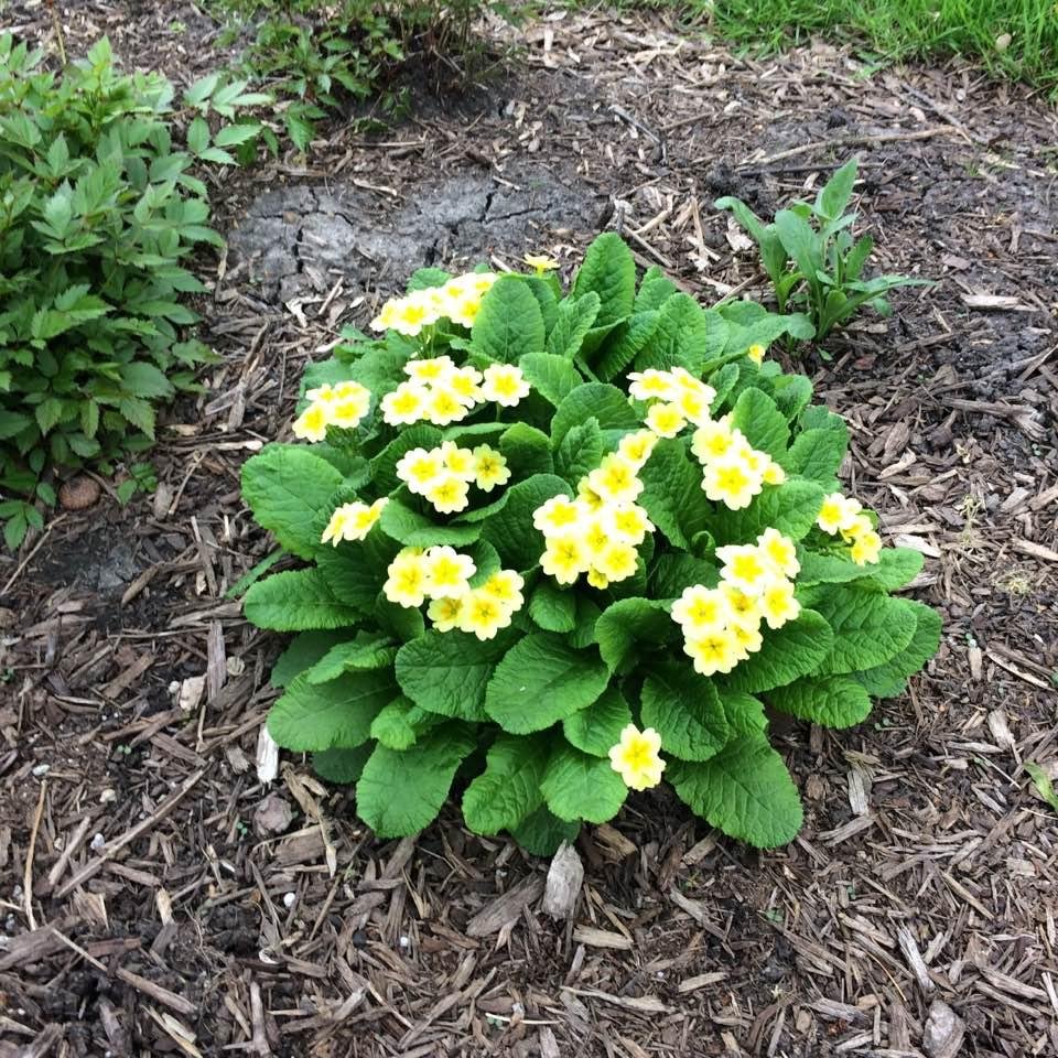 Carol Zielke's album, Timeline photos