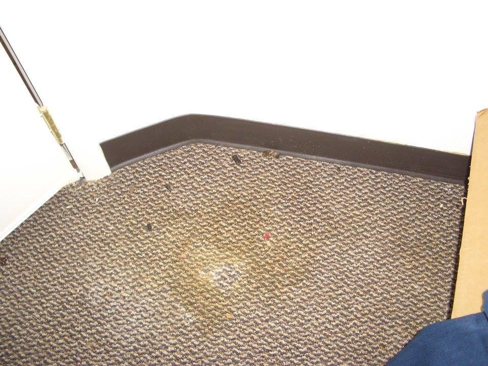 All carpet in every room had to be replaced