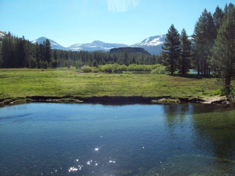 Todd Wagner's album, Pacific Crest Trail #5