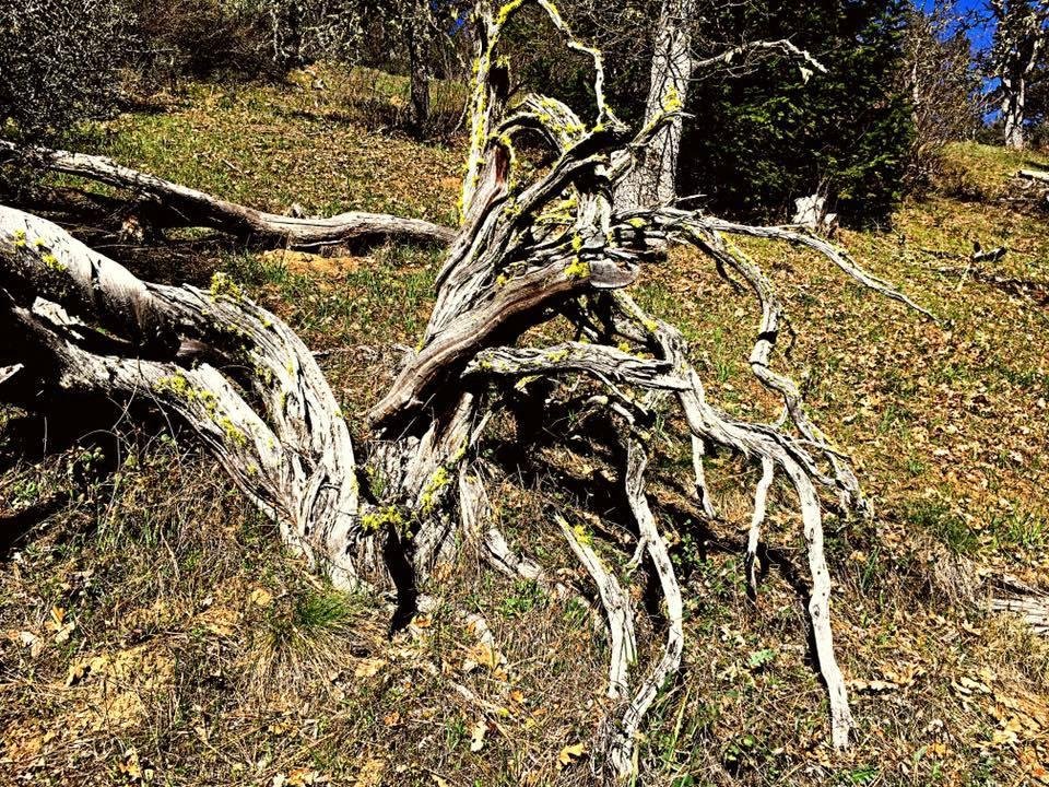 Karen McDaniel Hiller's album, Mobile Uploads