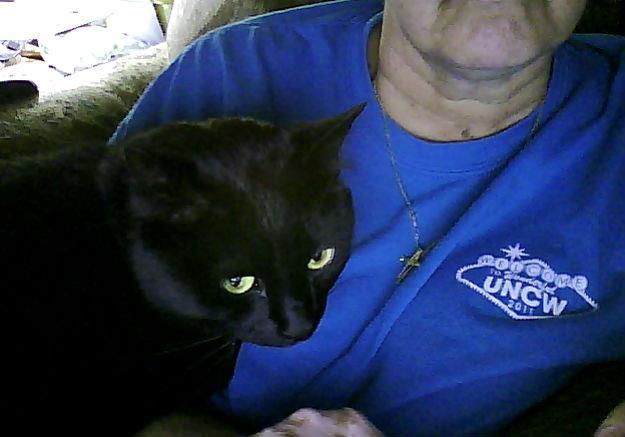 I will sit on your arm so you can't type....