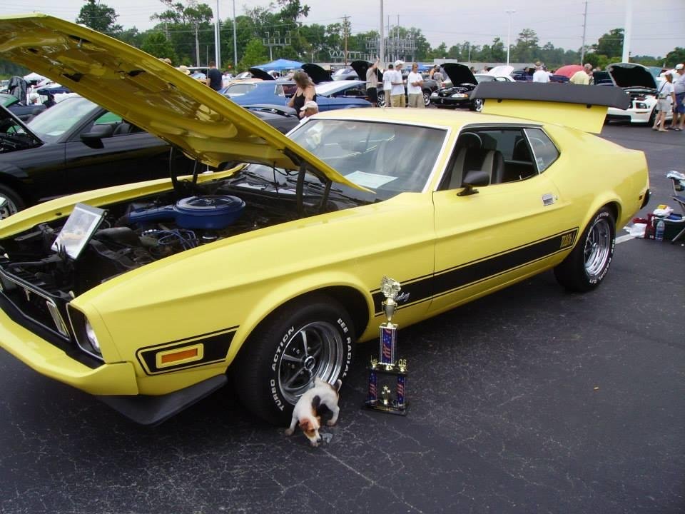 John Webster's album, Just Mustangs