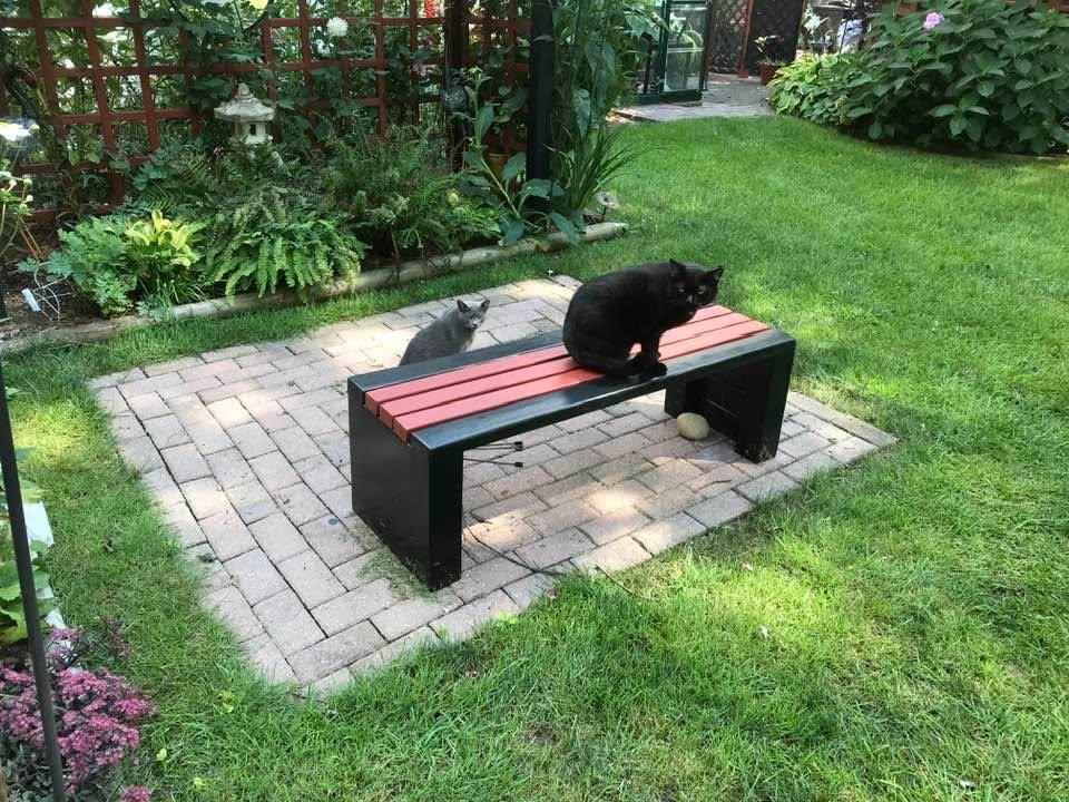 Blackie with Mom Alice in our Japanese garden.