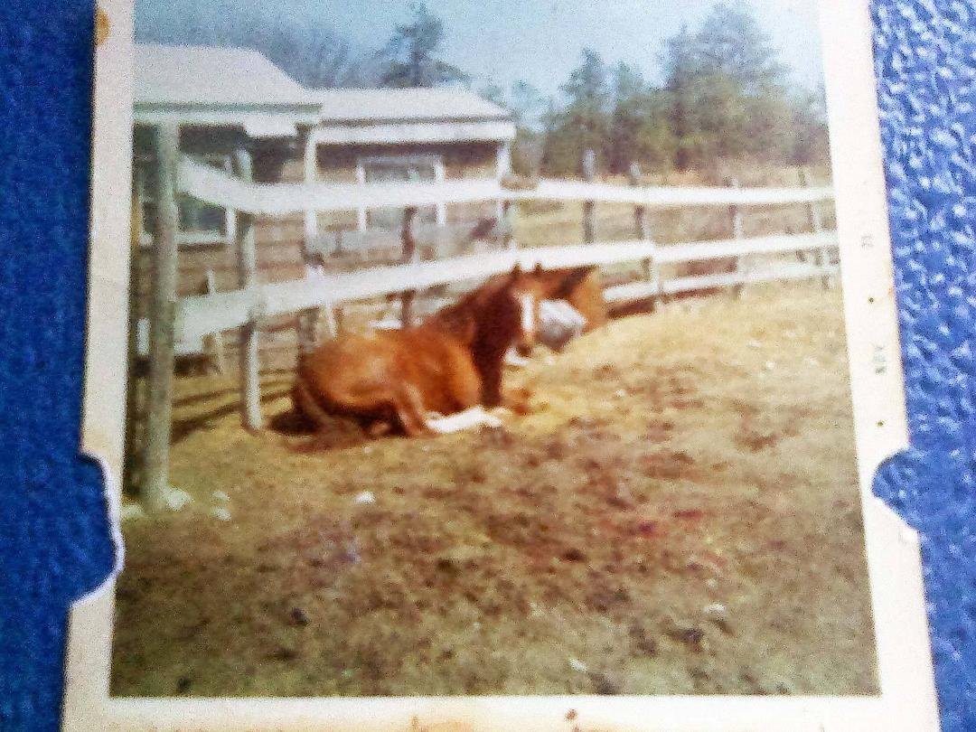 Beth you remmber mike,and sugar,big red,galen