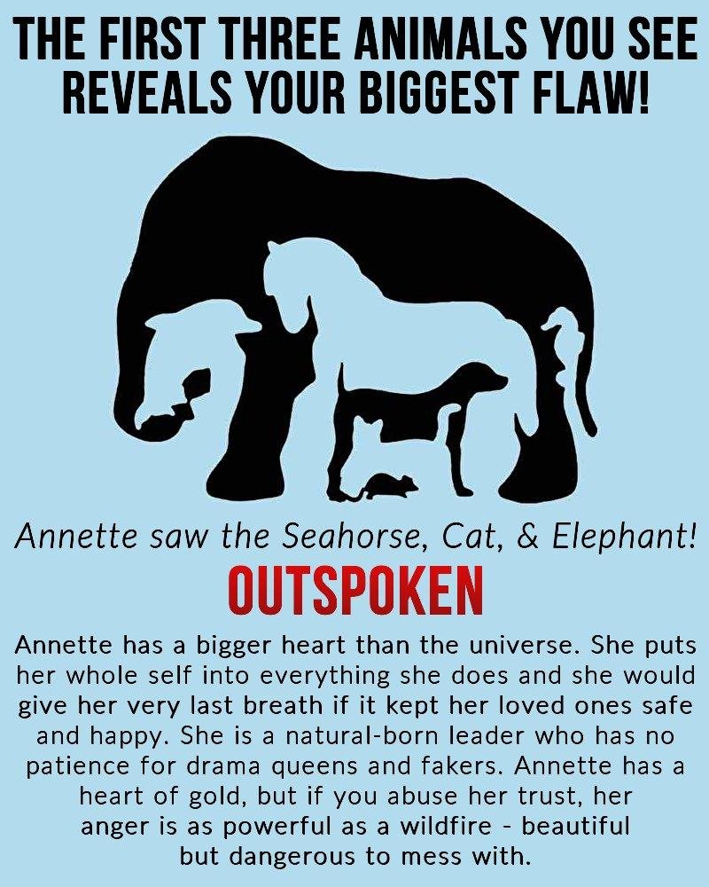 Annette King's album, Timeline photos