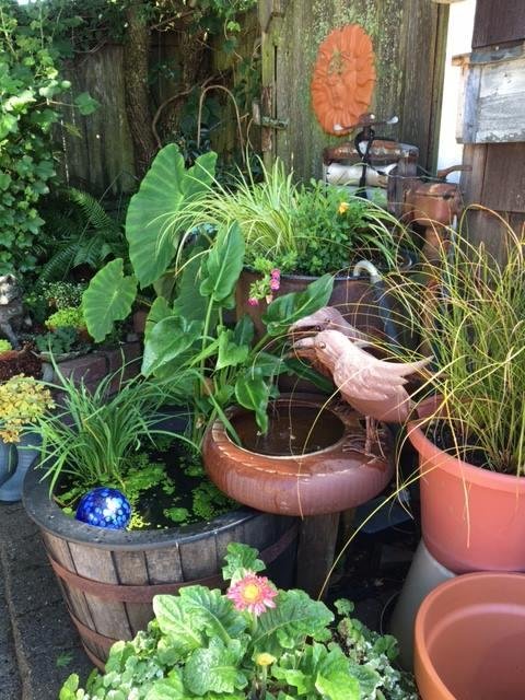 D Breazeale's album, Timeline Photos