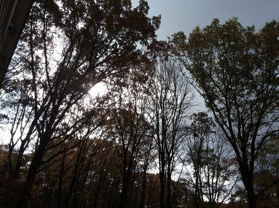Wind blowing..school canceled...lines down my street and tree down in the yard across street.  We have power and cable so all is good.