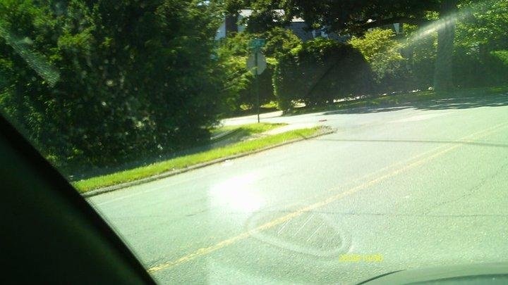 Jonathan Eddy's album, Wellesley Farms to Wellesley Fells via Wellesley Hills without using Rt 9.