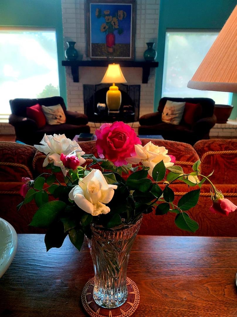 June Roses.
