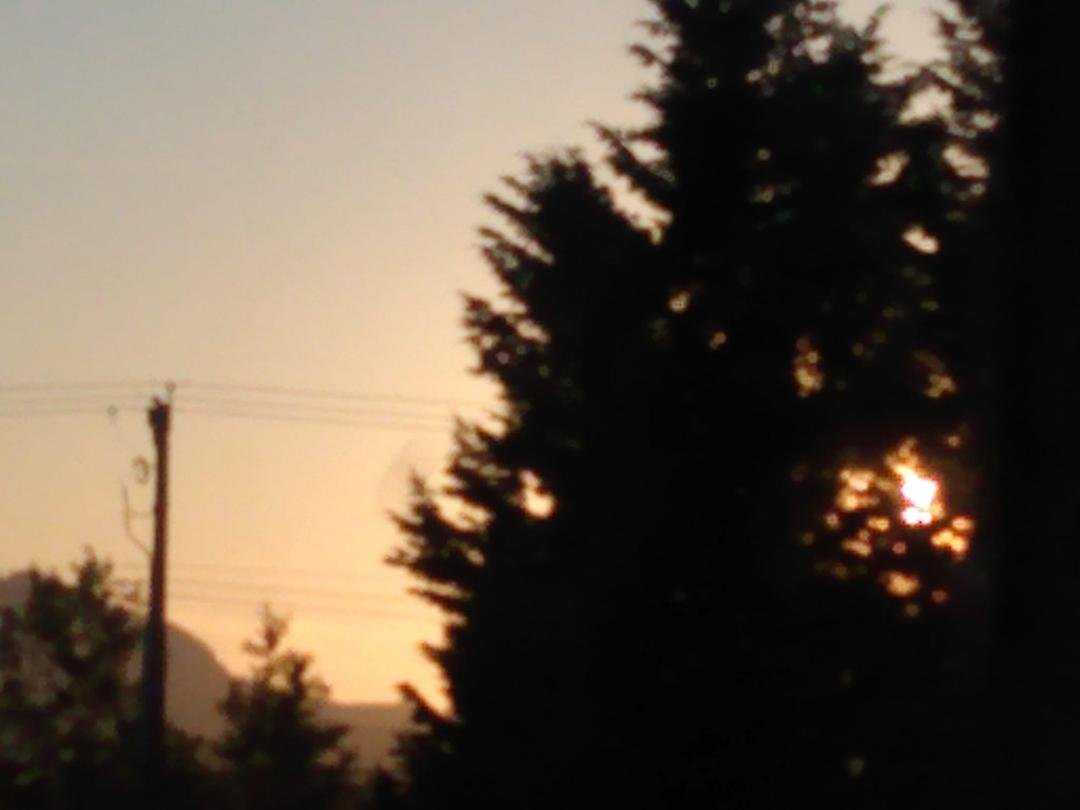 Beth Leeworthy's album, Mobile uploads