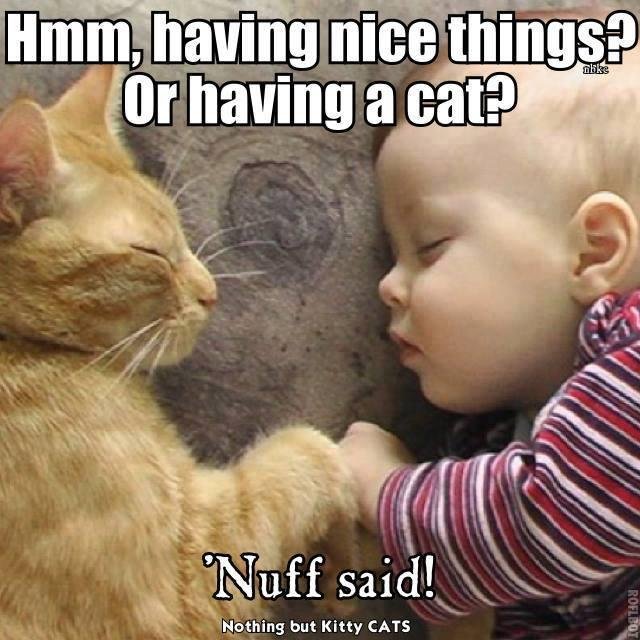 Pam Canfield's album, Timeline Photos
