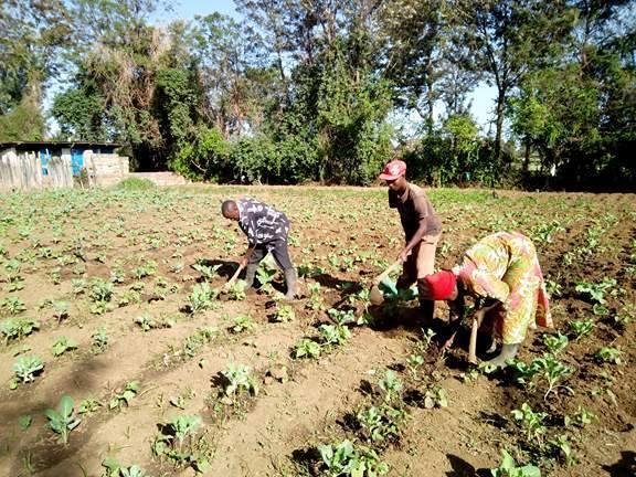 Working for food at Our Journey School Gardens