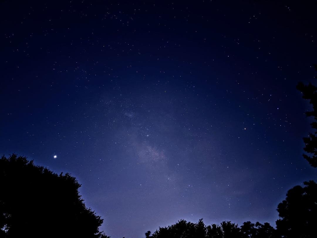 Galactic center with Jupiter on the left just above the tree.