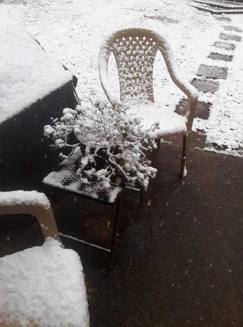 I didn't think we would get any snow