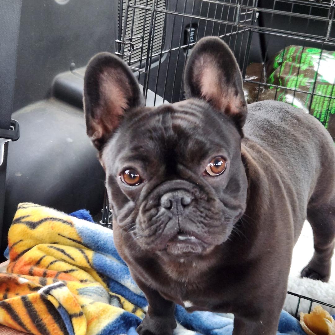 New addition
JEWEL