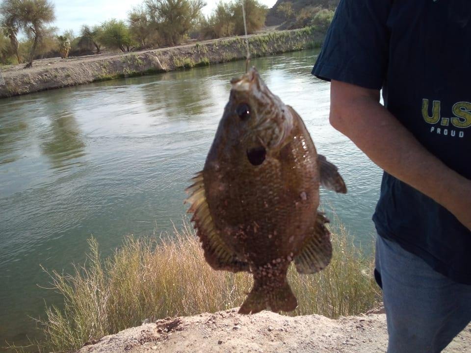 Broke in my new fishing license.