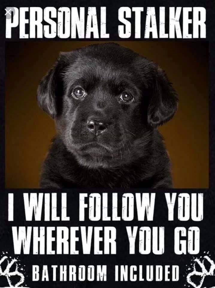 😊☺