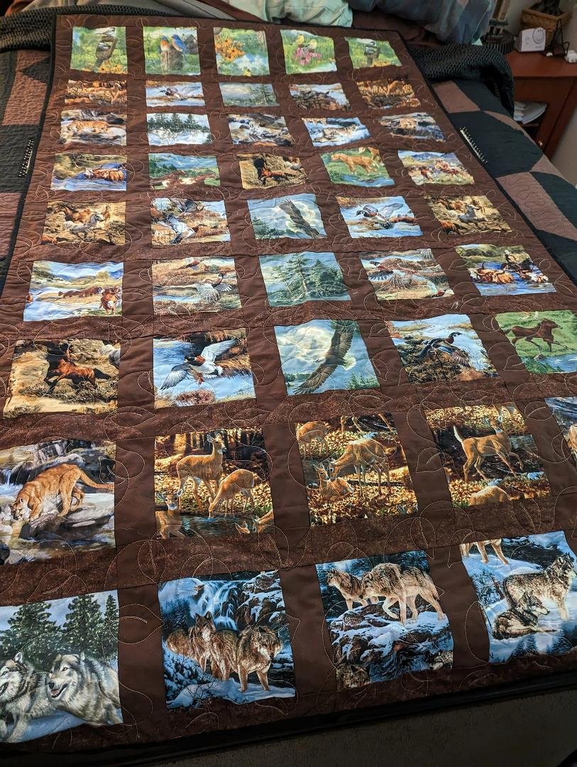 It's done... Started before we purchased this property, it's waited for me to finish her. And now it's a Father's Day gift for Eddie. Thank you quilt n friends, Ann you put the icing on the cake.