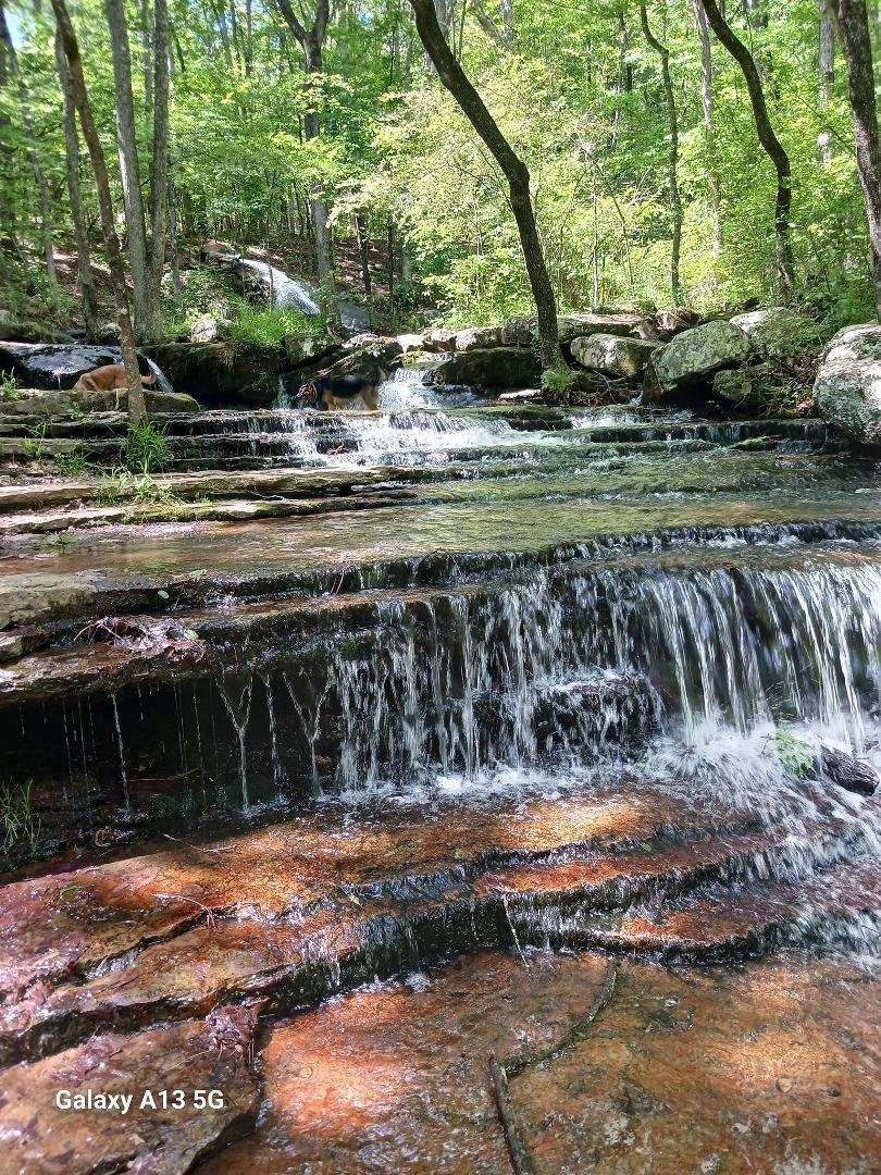 Cool day on Collins Creek at JFK.