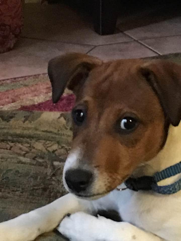 Rusty