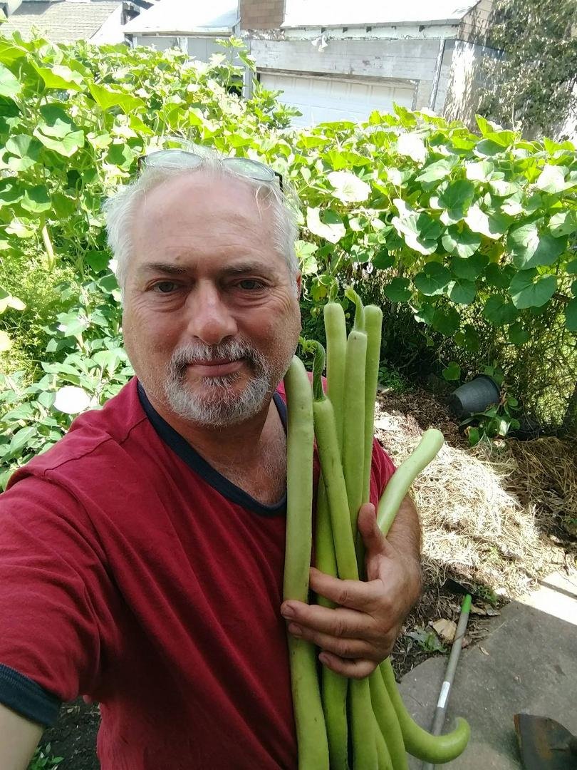 The goombah pronunciation for this squash Is goo_gootz. It can grow to an inedible 6 ft long, but then it's only good for it's seeds.
At this length they are perfectly tender however they are cooked. That's the plant behind