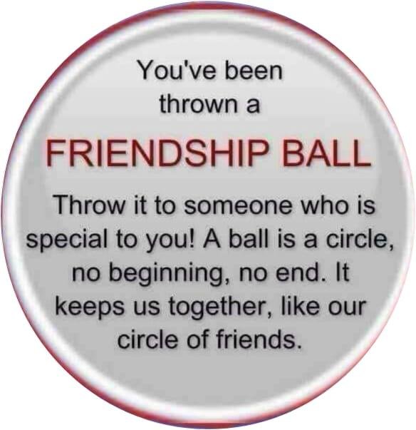 Wayne Tashiro's album, Timeline Photos