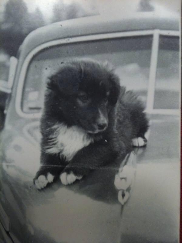 Peter (4 mo.)