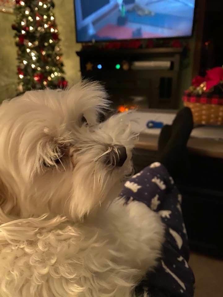 When Mom isn’t around, Mimi is a good replacement. Meet my shadow for a couple more days.