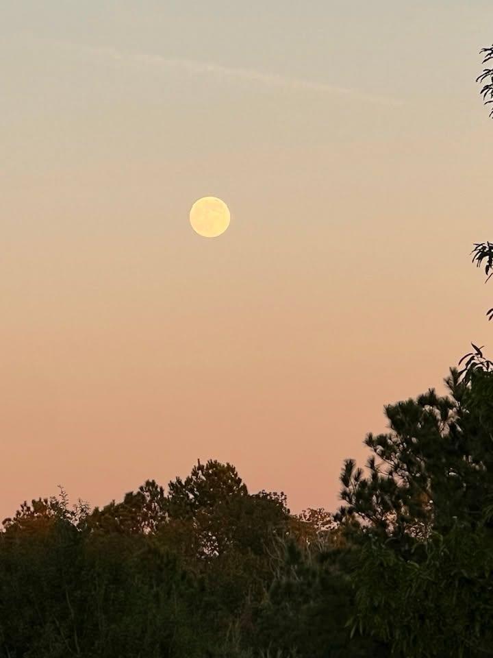 Sun sets, full moon rises. Terramont Park.