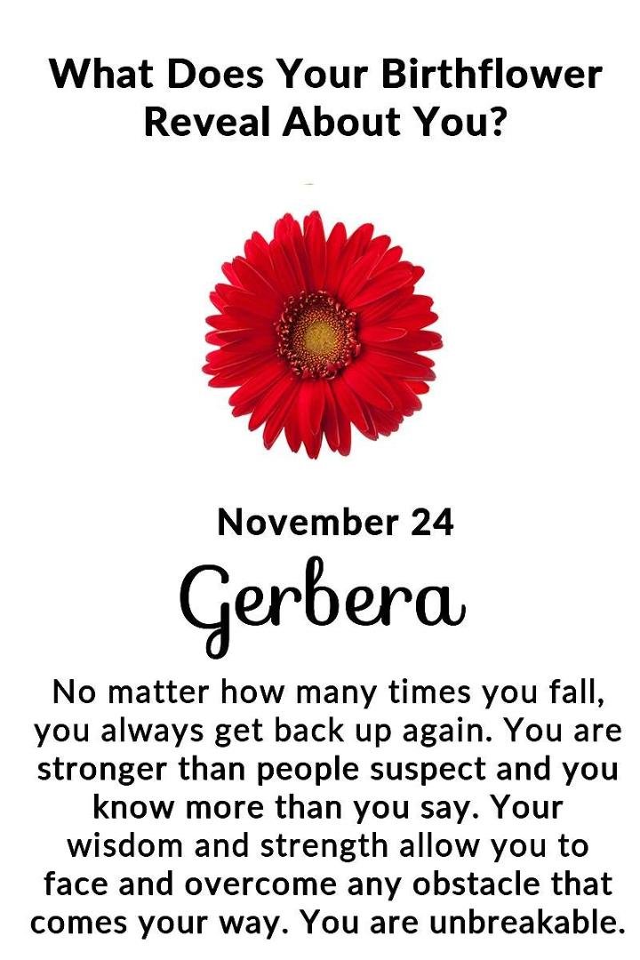 Sandy Siler's album, Timeline photos