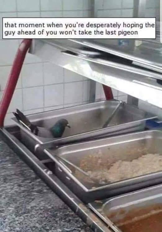 This looks like a first class buffet!