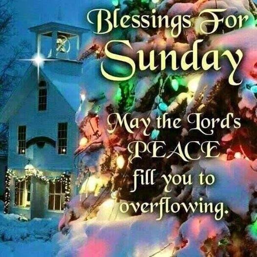 Mary Berkeley's album, Timeline Photos