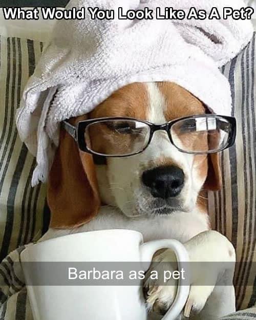 Barbara Shafer Freeman Amoss' album, Timeline Photos