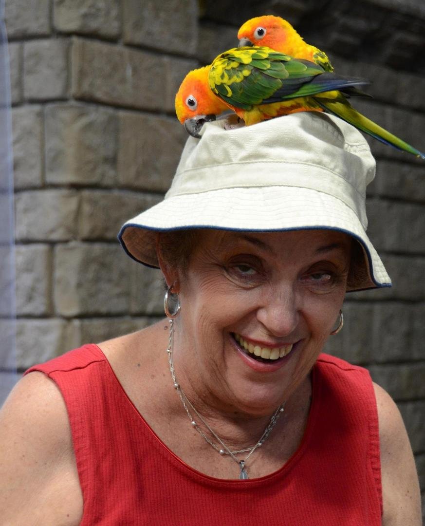 Parrots take a liking to Lita's Hat
Bird Exhibit
Long Island Aquarium
Riverhead, NY
