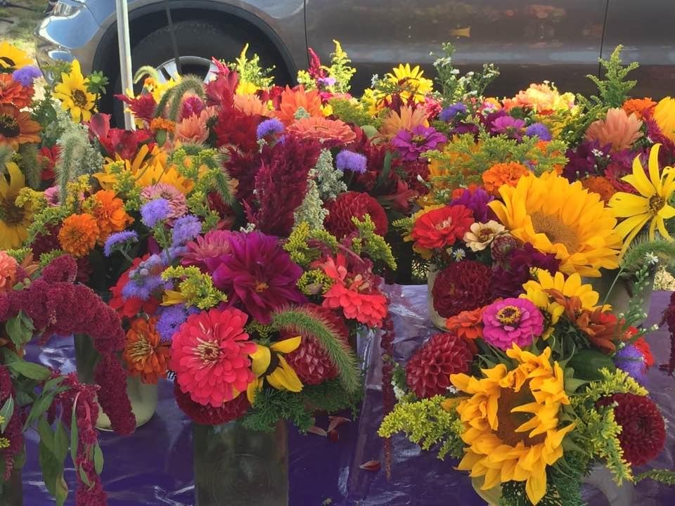 This morning at the Orleans farmers market