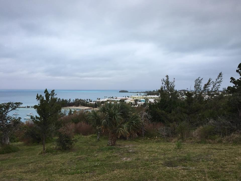 Dennis Butler's album, Mobile Uploads