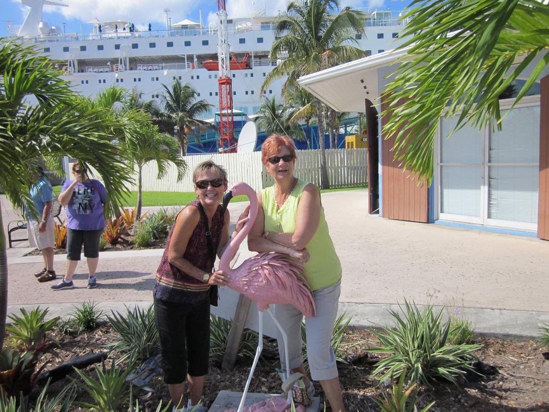 Anyone seen a pink flamingo?